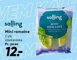 Bilka Mini romaine tilbud