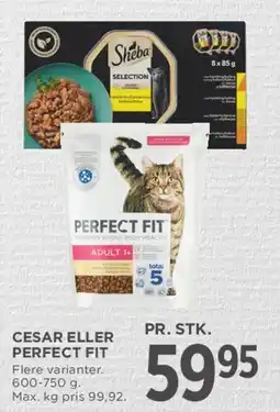 MENY Cesar / Perfect Fit tilbud