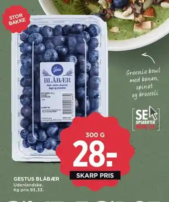 MENY Blåbær tilbud