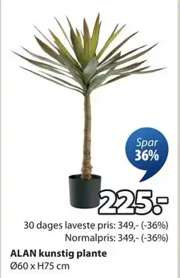 JYSK ALAN kunstig plante tilbud