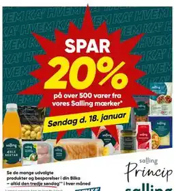 Bilka Spar 20% på over 500 varer fra vores Salling mærker tilbud