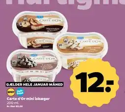 Netto Carte d'Or mini isbæger tilbud