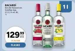Scandinavian Park BACARDÍ tilbud