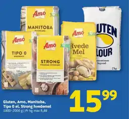 Løvbjerg Gluten, Amo, Manitoba, Tipo 0 el. Strong hvedemel tilbud