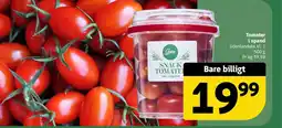 Løvbjerg Tomater i spand tilbud