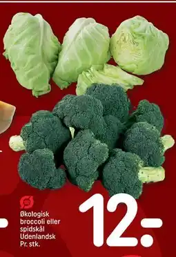 REMA 1000 Økologisk broccoli eller spidskål Udenlandsk Pr. stk tilbud
