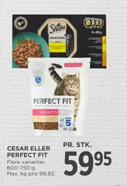 MENY CESAR ELLER PERFECT FIT tilbud