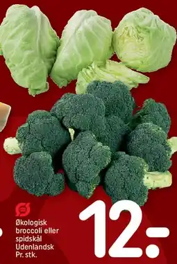 REMA 1000 Økologisk broccoli eller spidskål tilbud