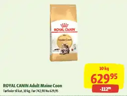 Maxi Zoo ROYAL CANIN Adult Maine Coon tilbud