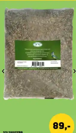 XL-BYG Solsikkefrø tilbud