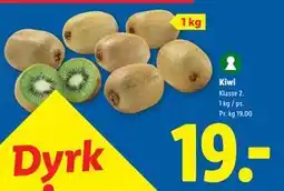 Lidl Kiwi tilbud