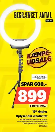 Power Dacota 19" ringlys oplyser din kreativitet tilbud