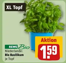 REWE DE REWE Bio Niederlande: Bio Basilikum tilbud