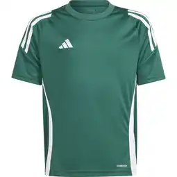 Sport 24 adidas Tiro 24 Trænings T-shirt Børn tilbud