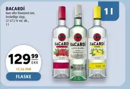 Scandinavian Park BACARDÍ tilbud