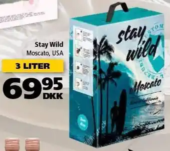 Stay Wild 3 Liter