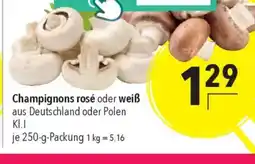 Citti Champignons rosé oder weiß tilbud