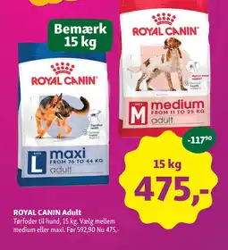 Maxi Zoo ROYAL CANIN Adult tilbud