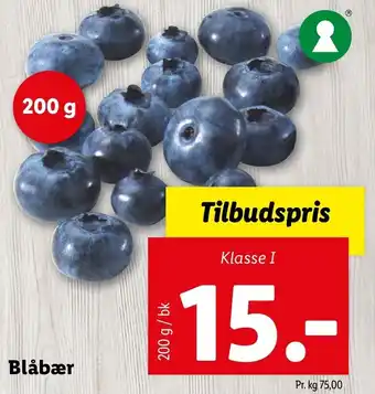 Lidl Blåbær 200 g tilbud