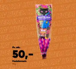 Bilka Fastelavnsris tilbud