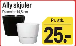 ABC Lavpris Ally skjuler tilbud