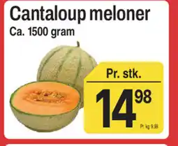 ABC Lavpris Cantaloup meloner tilbud
