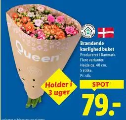 Lidl Brændende kærlighed buket tilbud