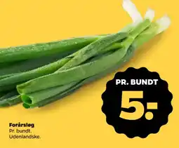 Netto Forårsløg tilbud