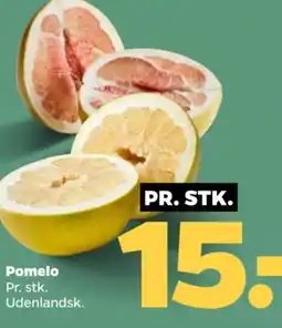 Netto Pomelo tilbud
