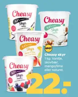Netto Cheasy skyr tilbud
