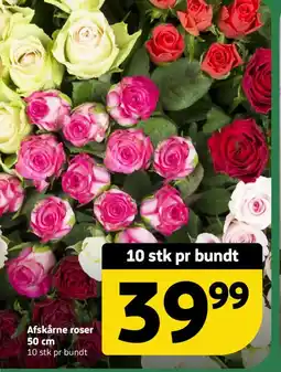 Løvbjerg Afskårne roser tilbud