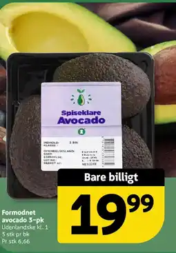 Løvbjerg Formodnet avocado 3-pk tilbud