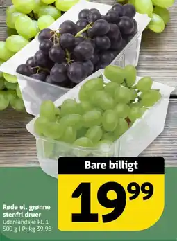 Løvbjerg Røde el. grønne stenfri druer tilbud
