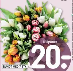 REMA 1000 Tulipaner tilbud