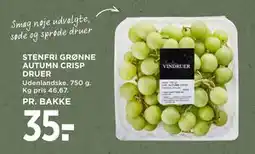 MENY STENFRI GRØNNE AUTUMN CRISP DRUER tilbud