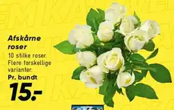 Bilka Blomster i potte tilbud