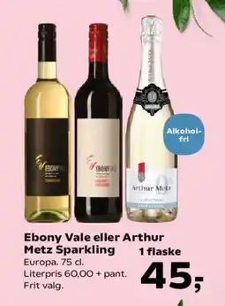 Kvickly Ebony Vale eller Arthur Metz Sparkling tilbud