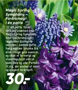 Bilka Magic Spring Symphony tilbud