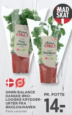 MENY Grøn Balance Økologiske krydderurter (potte) tilbud