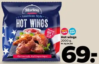 Hot Wings 2000 g