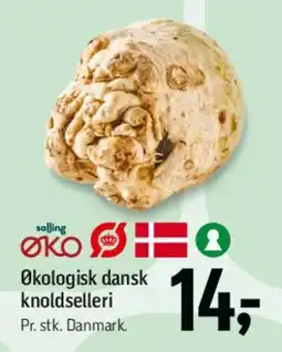 Føtex Økologisk dansk knoldselleri tilbud