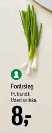 Føtex Forårsløg tilbud