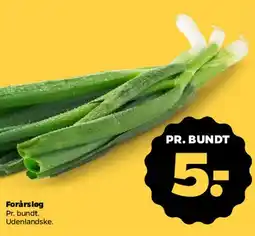 Netto Forårsløg (pr. bundt) tilbud