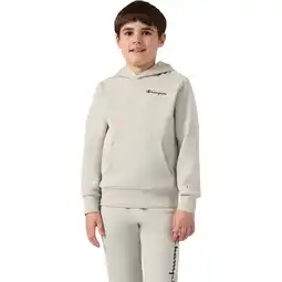 Sport 24 Champion Embroidered Small Logo Hættetrøje Børn tilbud