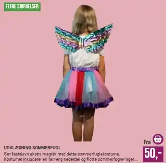 Udklædning sommerfugl