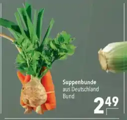 Citti Suppenbunde tilbud