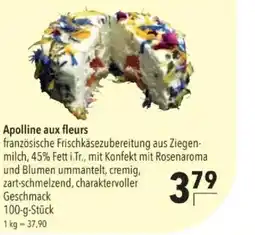 Citti Apolline aux fleurs tilbud