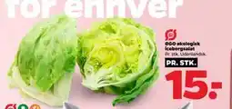 Netto ØGO økologisk icebergsalat tilbud