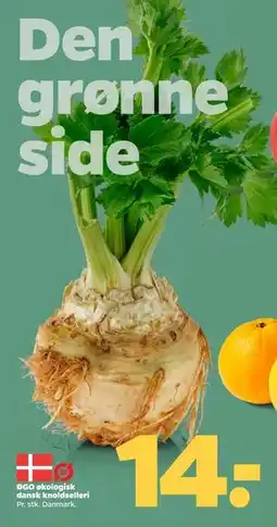 Netto ØGO økologisk dansk knoldselleri tilbud