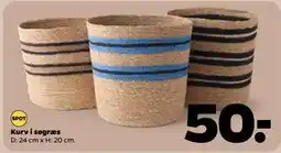 Netto Kurv i søgræs tilbud